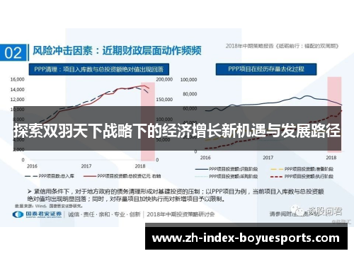 探索双羽天下战略下的经济增长新机遇与发展路径