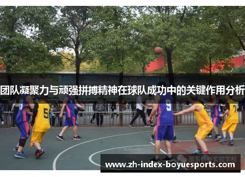 团队凝聚力与顽强拼搏精神在球队成功中的关键作用分析 团队凝聚力与顽强拼搏精神在球队成功中的关键作用分析
