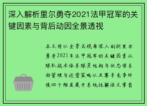 深入解析里尔勇夺2021法甲冠军的关键因素与背后动因全景透视 深入解析里尔勇夺2021法甲冠军的关键因素与背后动因全景透视
