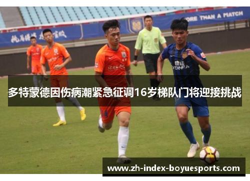 多特蒙德因伤病潮紧急征调16岁梯队门将迎接挑战