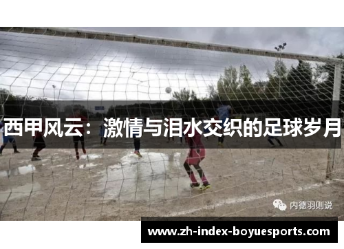 西甲风云:激情与泪水交织的足球岁月 西甲风云:激情与泪水交织的足球岁月