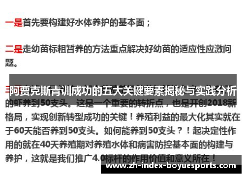阿贾克斯青训成功的五大关键要素揭秘与实践分析 阿贾克斯青训成功的五大关键要素揭秘与实践分析
