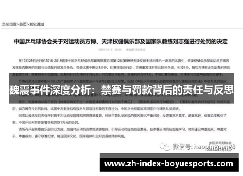 魏震事件深度分析：禁赛与罚款背后的责任与反思