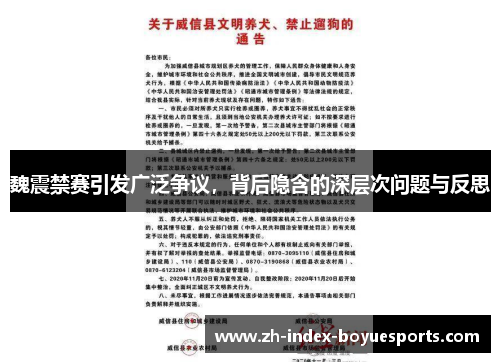 魏震禁赛引发广泛争议，背后隐含的深层次问题与反思